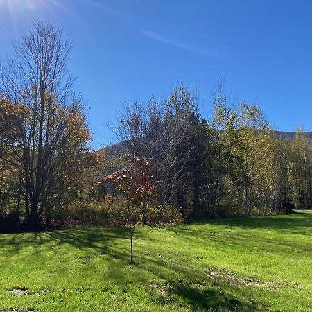 Вилла Hunter Mountain Sanctuary Экстерьер фото
