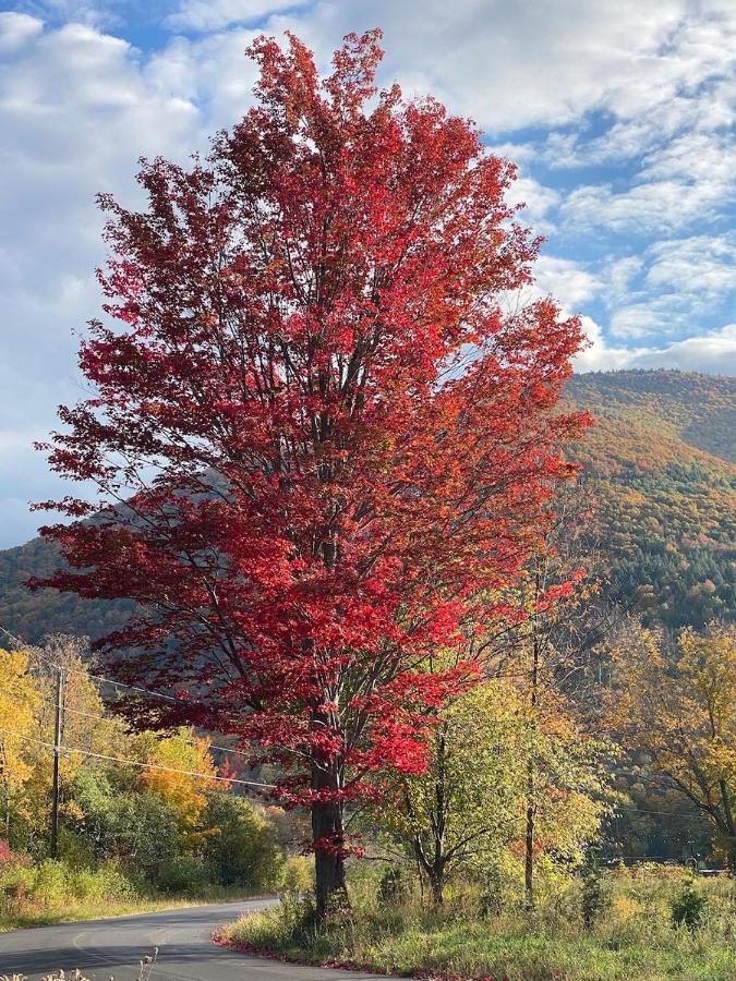 Вилла Hunter Mountain Sanctuary Экстерьер фото